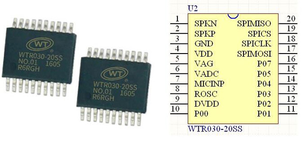 WTR030 Recording Chip