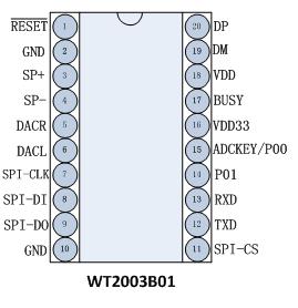 WT2003B01 Voice Module