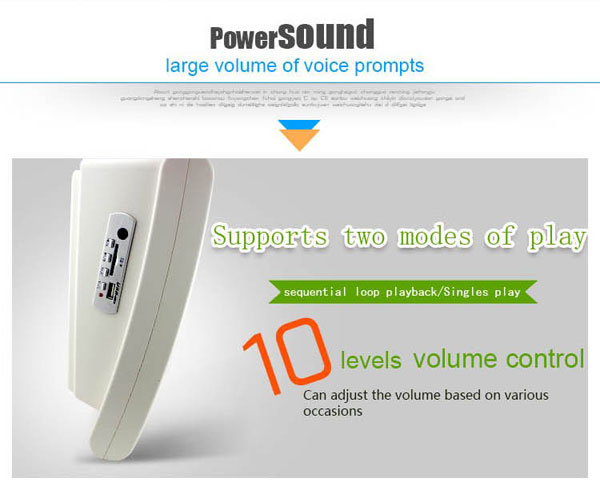 PowerSound PIR Motion Sensor Speaker